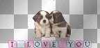 puppy love