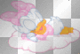 baby daisy duck