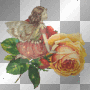 Fairy with peach orangey rose