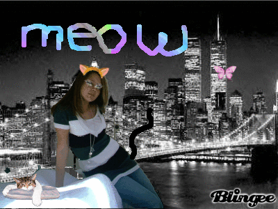 kat im a kitty cat kat im a kitty cat