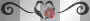 rose heart
