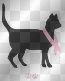 BC Cat