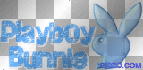 bvunny