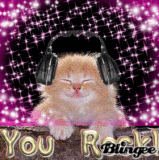 KITTY ROCK