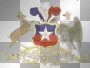 escudo chile