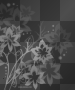 black & white flowers
