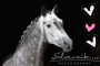 cheval