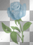 Blue Rose