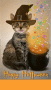 Witch's Cat