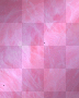 Pink Feather