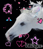 je vous aimes 