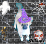 happy Halloween