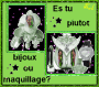 maquillage ou bijoux