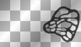 transparent left wing