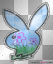 green blue purple playboy 