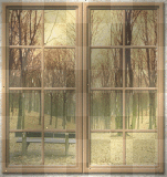 window