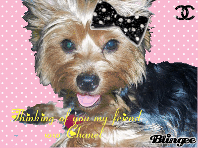 Thinking of you my friend