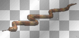 snake