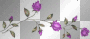 purple flowers