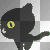 gatto