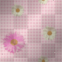 Background Daisies 3