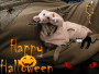 Happy Halloween
