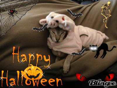 Happy Halloween