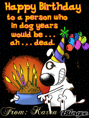 Birthday dog Birthday dog