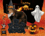 Halloween Kitty