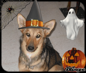 chelkiehalloween
