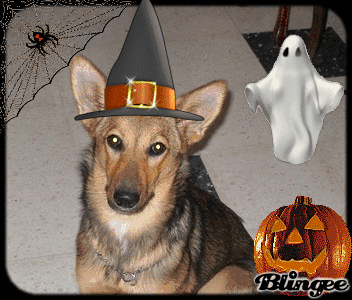 chelkiehalloween
