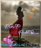VOGLIO VOLARE