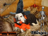 TAU fête halloween