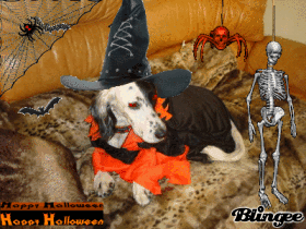 TAU fête halloween
