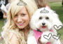 ashley+dog