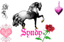 syndy