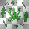 weed weed