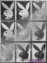 playboy
