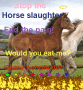 Horse slaughter