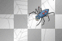 spider