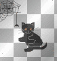 blk cat