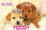 princess puppies