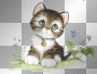 Kitten