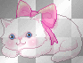 kitty