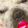 Lucy Lu Lucy Lu
