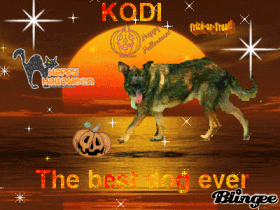kodi odie