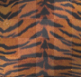 tiger skin