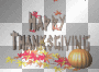 HAPPY THANKSGIVING