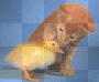 Friend