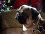 Berlioz